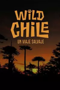 Дика природа Чилі