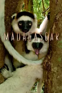Мадаґаскар / Мадагаскар